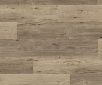 24h3 - Dusky Oak -Klickvinyl-