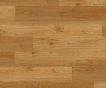 24h3 - Rich Valley Oak -Klickvinyl-