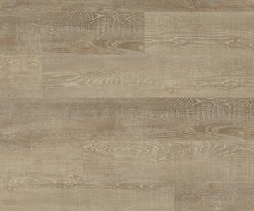 24h3 - Pallido Oak -Klickvinyl-