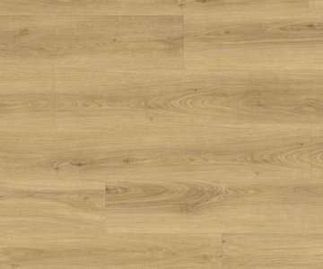 24h3 - Dew Oak  -Klickvinyl-